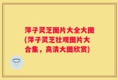 萍子灵芝图片大全大图(萍子灵芝壮观图片大合集，高清大图欣赏)