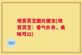 观赏灵芝图片图文(观赏灵芝：香气扑鼻，美味可口)