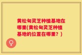 黄松甸灵芝种植基地在哪里(黄松甸灵芝种植基地的位置在哪里？)