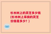 杉木树上的灵芝多少钱(杉木树上采摘的灵芝价格是多少？)