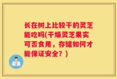 长在树上比较干的灵芝能吃吗(干燥灵芝果实可否食用，存储如何才能保证安全？)