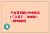 千年灵芝图片大全欣赏(千年灵芝：百般滋补，医食同源)