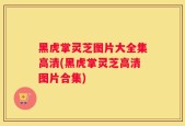 黑虎掌灵芝图片大全集高清(黑虎掌灵芝高清图片合集)