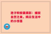 孢子粉胶囊摄影：捕捉自然之美，揭示生活中的小惊喜