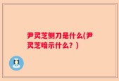 尹灵芝侧刀是什么(尹灵芝暗示什么？)