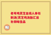 老母鸡灵芝金线人参石斛汤(灵芝鸡汤融汇滋补四味佳品