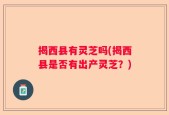 揭西县有灵芝吗(揭西县是否有出产灵芝？)