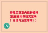 养殖灵芝室内能种植吗(能在室内养殖灵芝吗？方法与注意事项！)