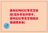 黑枸杞枸杞红枣灵芝锁阳(滋补养生好帮手，黑枸杞红枣灵芝锁阳润燥调理身体)