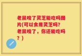 老鼠咬了灵芝能吃吗图片(可以食用灵芝吗？老鼠咬了，你还能吃吗？)