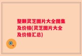 整颗灵芝图片大全图集及价格(灵芝图片大全及价格汇总)