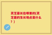 灵芝菌长在哪里的(灵芝菌的生长地点是什么？)