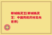 郸城杨灵芝(郸城杨灵芝：中国传统药材走向世界)