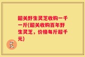 韶关野生灵芝收购一千一斤(韶关收购百年野生灵芝，价格每斤超千元)