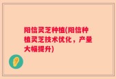 阳信灵芝种植(阳信种植灵芝技术优化，产量大幅提升)