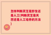 怎样判断灵芝是野生还是人工(判断灵芝是天然还是人工培养的方法)