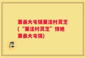 萧县大屯镇董洼村灵芝(“董洼村灵芝”惊艳萧县大屯镇)