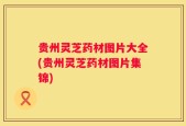 贵州灵芝药材图片大全(贵州灵芝药材图片集锦)
