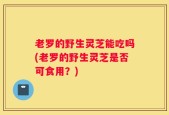 老罗的野生灵芝能吃吗(老罗的野生灵芝是否可食用？)