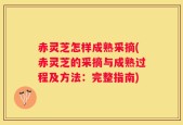 赤灵芝怎样成熟采摘(赤灵芝的采摘与成熟过程及方法：完整指南)