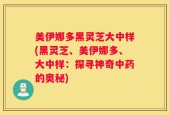 美伊娜多黑灵芝大中样(黑灵芝、美伊娜多、大中样：探寻神奇中药的奥秘)