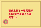 茶桌上长了一堆灵芝好不好(家中茶桌上长满灵芝？)