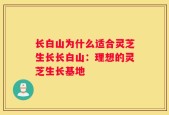 长白山为什么适合灵芝生长长白山：理想的灵芝生长基地