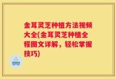 金耳灵芝种植方法视频大全(金耳灵芝种植全程图文详解，轻松掌握技巧)
