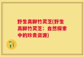 野生高脚竹灵芝(野生高脚竹灵芝：自然探索中的珍贵资源)