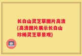 长白山灵芝草图片高清(高清图片展示长白山珍稀灵芝草景观)