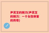 尹灵芝的铡刀(尹灵芝的铡刀：一个女性刺客的传奇)