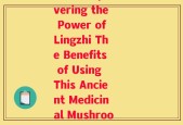 简易灵芝(Discovering the Power of Lingzhi The Benefits of Using This Ancient Medicinal Mushroom)