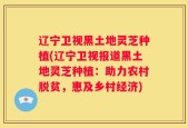 辽宁卫视黑土地灵芝种植(辽宁卫视报道黑土地灵芝种植：助力农村脱贫，惠及乡村经济)