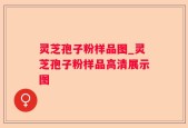 灵芝孢子粉样品图_灵芝孢子粉样品高清展示图