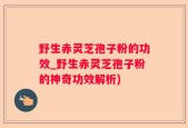 野生赤灵芝孢子粉的功效_野生赤灵芝孢子粉的神奇功效解析)