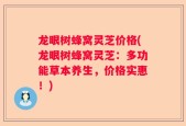 龙眼树蜂窝灵芝价格(龙眼树蜂窝灵芝：多功能草本养生，价格实惠！)
