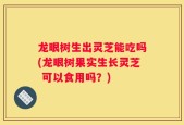 龙眼树生出灵芝能吃吗(龙眼树果实生长灵芝 可以食用吗？)