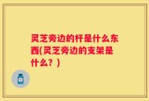 灵芝旁边的杆是什么东西(灵芝旁边的支架是什么？)