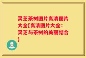 灵芝茶树图片高清图片大全(高清图片大全：灵芝与茶树的美丽结合)