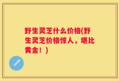 野生灵芝什么价格(野生灵芝价格惊人，堪比黄金！)