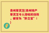 贵州草灵芝(贵州特产草灵芝令人惊叹的功效，被誉为“黔之宝”！)