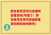 野生紫灵芝可以泡酒吗百度百科(可惜了！野生紫灵芝竟可泡酒百度百科教你如何制作)