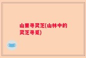 山里寻灵芝(山林中的灵芝寻觅)