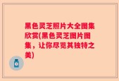 黑色灵芝照片大全图集欣赏(黑色灵芝图片图集，让你尽览其独特之美)