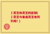 邚灵芝和灵芝的区别(邚灵芝与普通灵芝有何不同？)