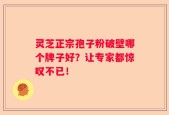 灵芝正宗孢子粉破壁哪个牌子好？让专家都惊叹不已！