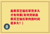 桑黄灵芝猫爪草煲多久才有效果(有效煲制桑黄灵芝猫爪草所需时间是多久？)