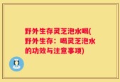 野外生存灵芝泡水喝(野外生存：喝灵芝泡水的功效与注意事项)