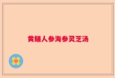 黄鳝人参海参灵芝汤