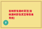 吉林野生源岭灵芝(吉林源岭野生灵芝等你来寻找)